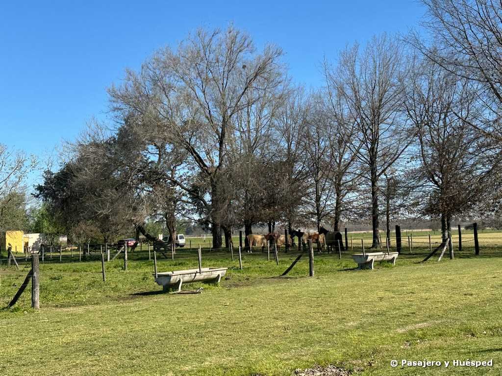 wyndham garden luján